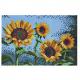 Bügelperlen midi Art "Sonnenblumen", Geschenkpackung 3608