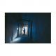 LED-Taschenlampe Daily Use 270B 1600-0429