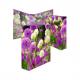 Wild Flowers 19557