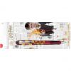 Füllhalter HARRY POTTER, Blisterkarte