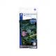 Buntstift Metallic, 12er Kartonetui  146M C12
