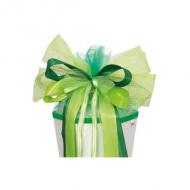 Green Spirit