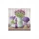 Motiv: Phalaenopsis 89471