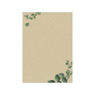 Design-Papier "Eucalyptus" DP617