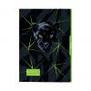 Zeichnungsmappe "Panther"