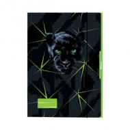 Zeichnungsmappe "Panther"