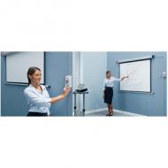 Elektrische Leinwand