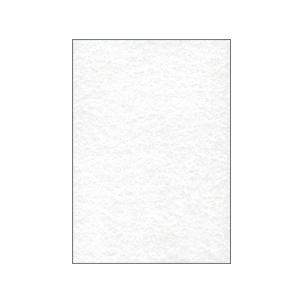 Perga champagne DP657