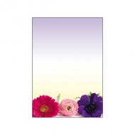 Spring Flowers