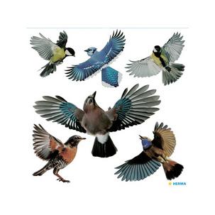 Fenster-Warnvögel, bunt 5999