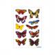 (1) Design Schmetterlinge 3801