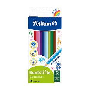 Buntstifte Standard, 12er Kartonetui 100401614