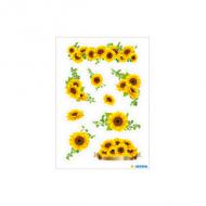 (1) Sonnenblumen
