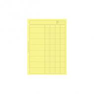 ELVE Bloc audit "Contrle interne", 4 colonnes, bleu 80 pages, 297 x 210 mm, 4 colonnes + carreaux avec entte dossier, papier offset 80 g / m2, perforation 4 trous, dessous en carton blanc 350 g / m2 (2642)