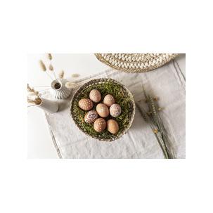 Symbolbild: zeigt eine Anwendung 8323-0