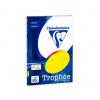 Multifunktionspapier Trophée - Personal Paper Pack, Intensivfarben