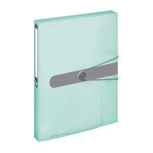 Sammelbox easy orga to go Pastell, minze-transparent 300000791