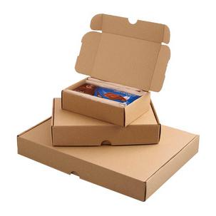 Symbolbild: Maxibriefkarton 211107725