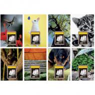 LECAS Calendrier éphéméride mural NATURE, bloc comique, 2026 ---------------- pour le marché F -------------------------plaque cartonnée assortie en 8 décors, pas de choix de motif possible, dimensions de la plaque: 170 x 250 mm, dimensions du botier: 60 x 90 mm (100901759  /  100901019  /  100771985  /  100771237  /  400144289)