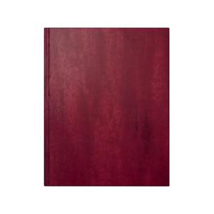 Buchkalender "Managerkalender TM Belnova", rotbraun 7024074706