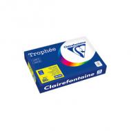 Symbolbild: Multifunktionspapier "Trophée"