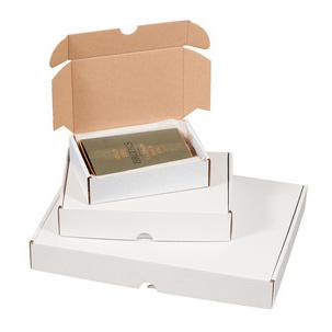 Symbolbild: Maxibriefkarton, weiß 211117725