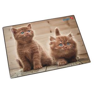 Motiv: Neugierige Kätzchen 46650