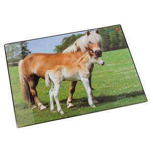 Motiv: Pferd und Fohlen 46587