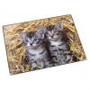 Motiv: Katzen im Stroh