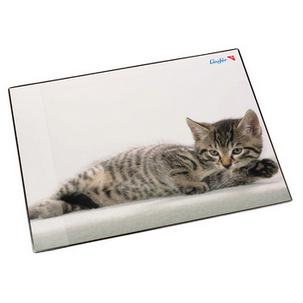 Motiv: Katze grau 46592