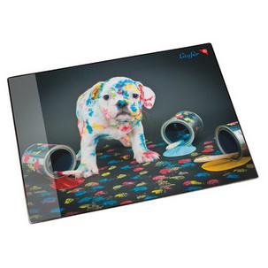 Motiv: Bunter Hund 46652