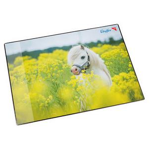 Motiv: Pferd im Rapsfeld 46651