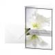 Trauerkarte "Water Lily" DS006