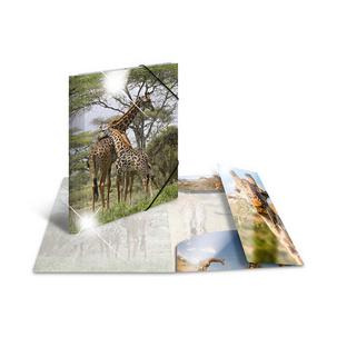 Motiv: Giraffe 19335