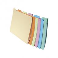 Symbolbild: Aktenmappe SUPER 210, mit Registertaben