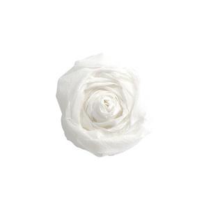Krepp-Papier, weiß 95158C