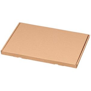 Symbolbild: Großbrief-Versandkarton 322101025