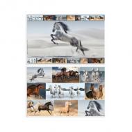 Motiv: Pferde, Vorder-/Rückseite