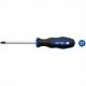 Symbolbild: Schlitzschraubendreher 50845306580