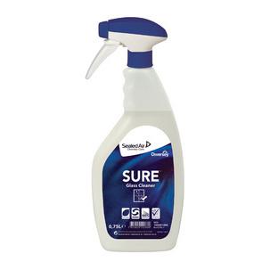 Glasreiniger "Glass Cleaner" 100891496