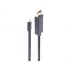 Displayport - USB 3.1 Anschlusskabel