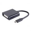 USB 3.1 - DVI Adapterkabel