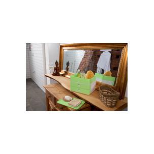 Symbolbild: Anwendung Lime green 1100-12