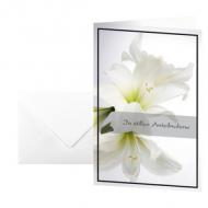 Trauerkarte "Weiße Amaryllis"