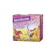 Erfrischungsgetränk Multivitaum 12-Frucht, 500 ml Trinkpack