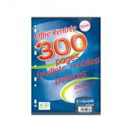 Calligraphe Feuillets mobiles perforés, A4, séys sous film, 210 x 297 mm, perforation universelle, papier vélin surfin 90 g, fabriqué en Fran contenu: 300 pages (9333C)