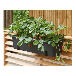 Symbolbild: zeigt das Produkt in Anwendung 2972090