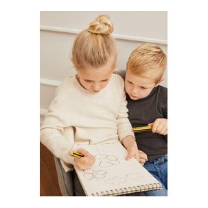 Symbolbild: zeigt das Produkt in der Anwendung 141-2B BK