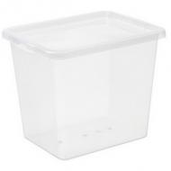 31 Liter