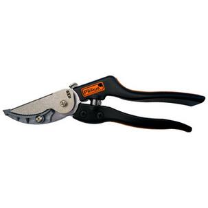 Rosen-Greifschere 01080